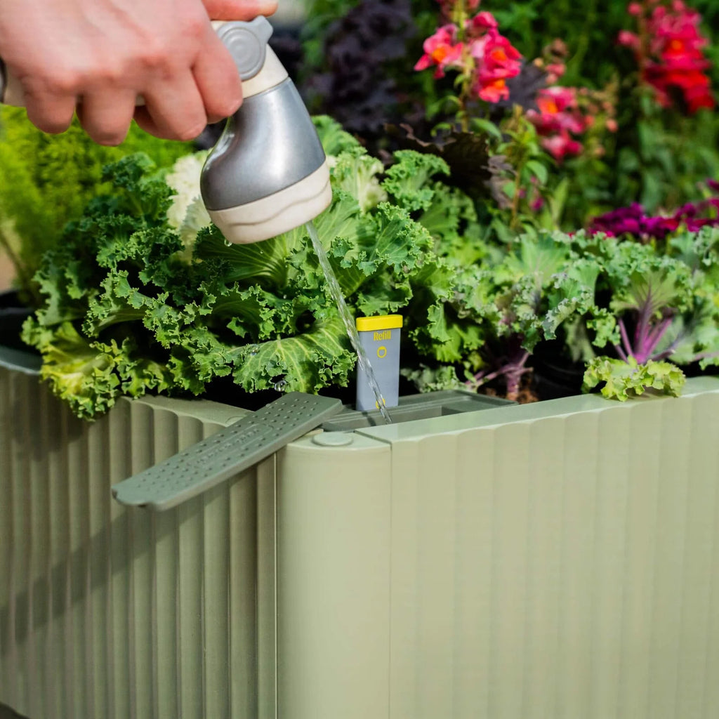 Low-Maintenance Self-Watering Planter