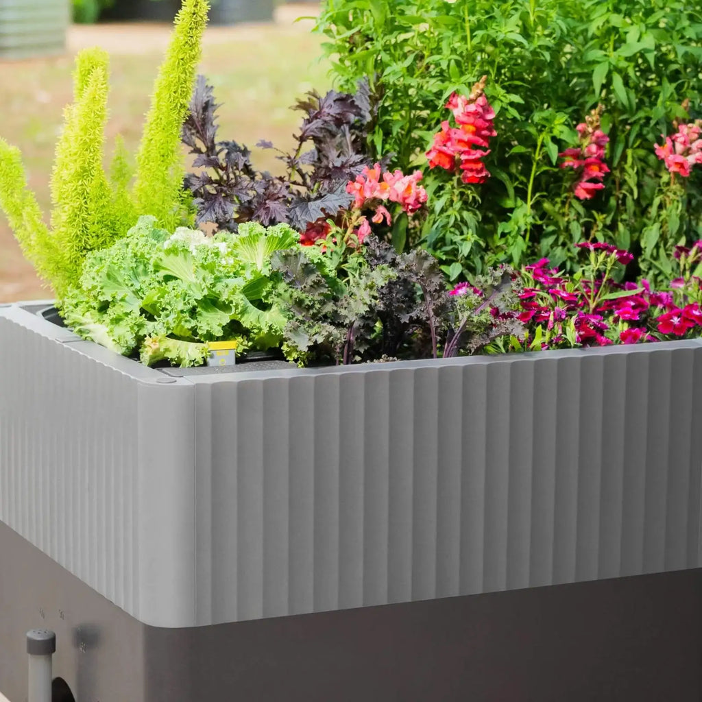 Low-Maintenance Self-Watering Planter