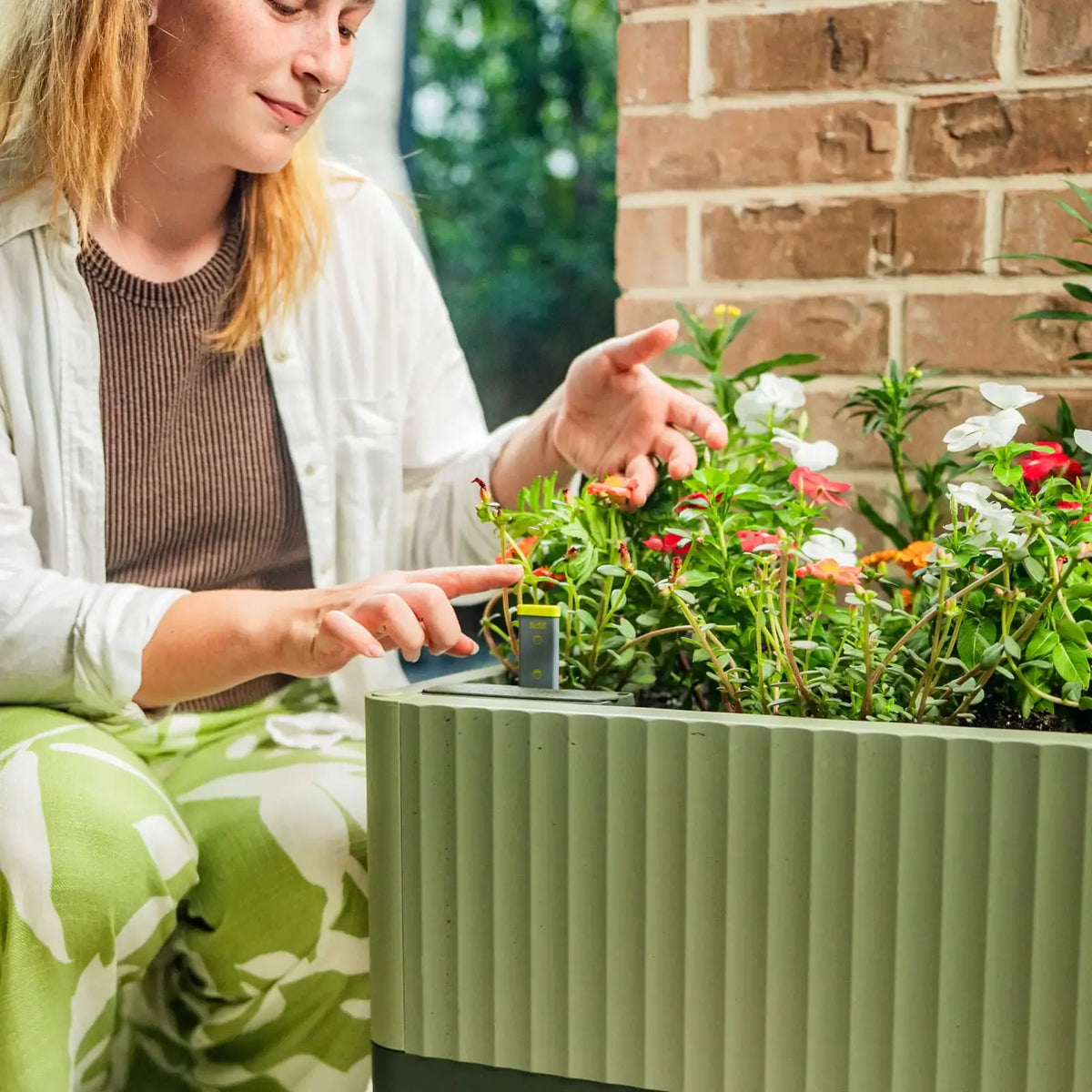 Low-Maintenance Self-Watering Planter