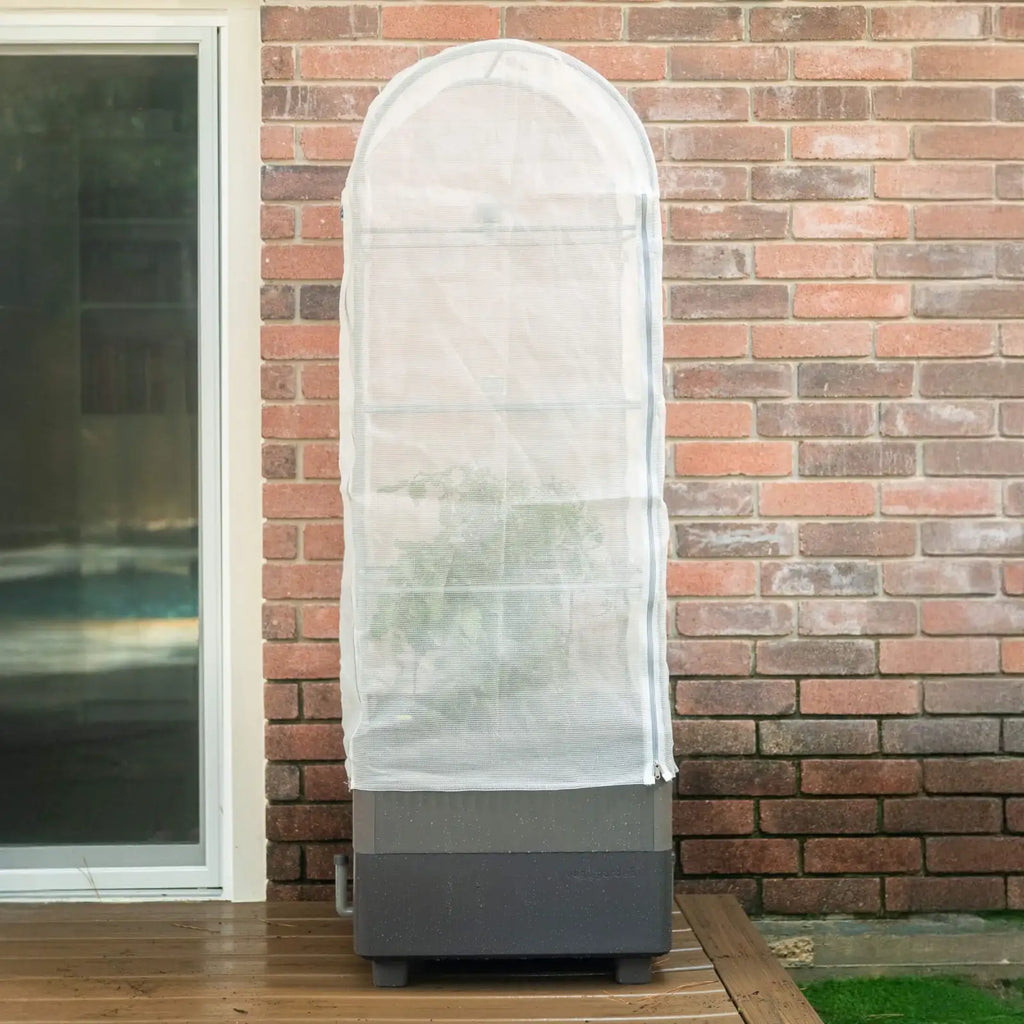 Low-Maintenance Self-Watering Planter