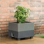 Low-Maintenance Self-Watering Planter