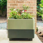 Low-Maintenance Self-Watering Planter