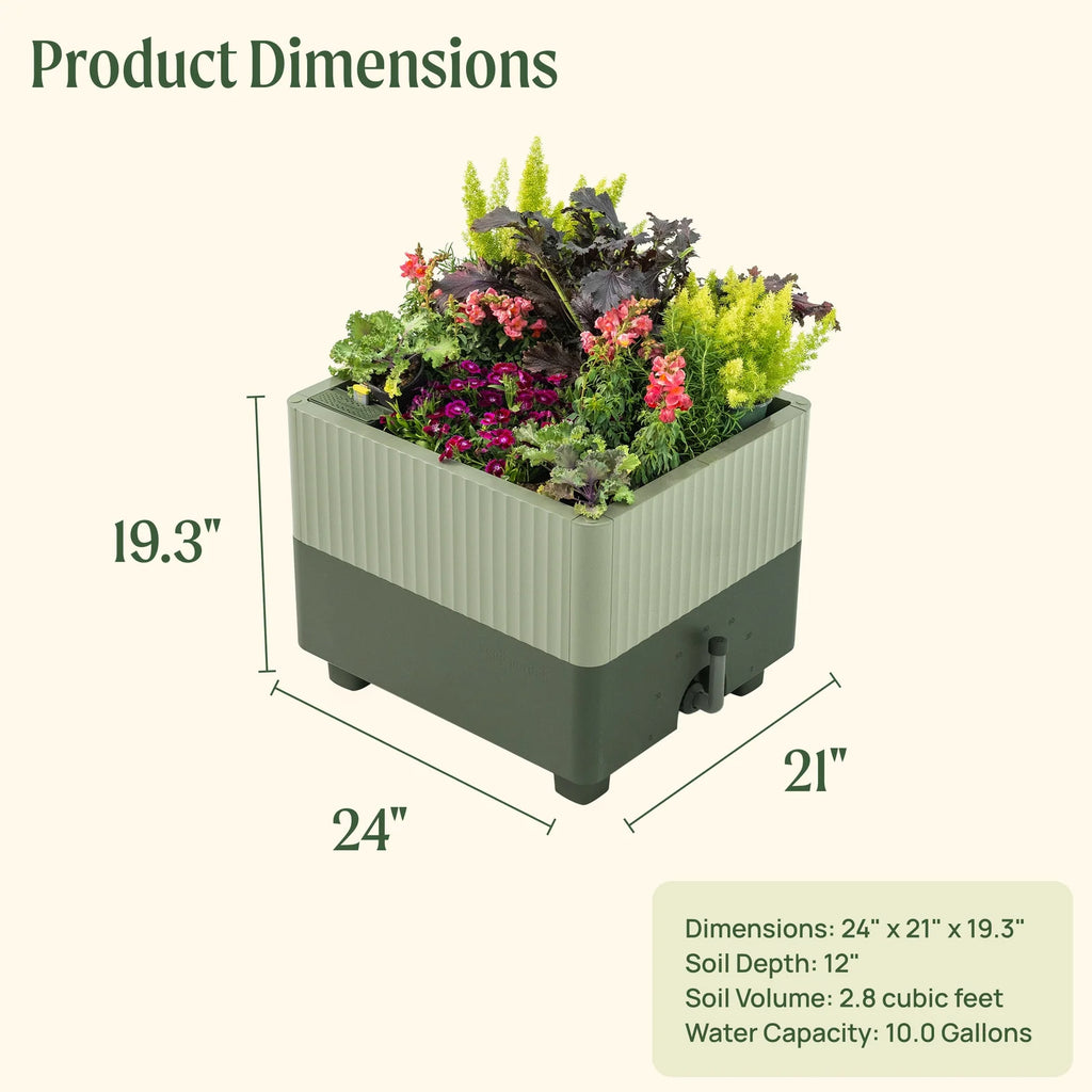Low-Maintenance Self-Watering Planter