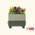 Low-Maintenance Self-Watering Planter, Sage Green