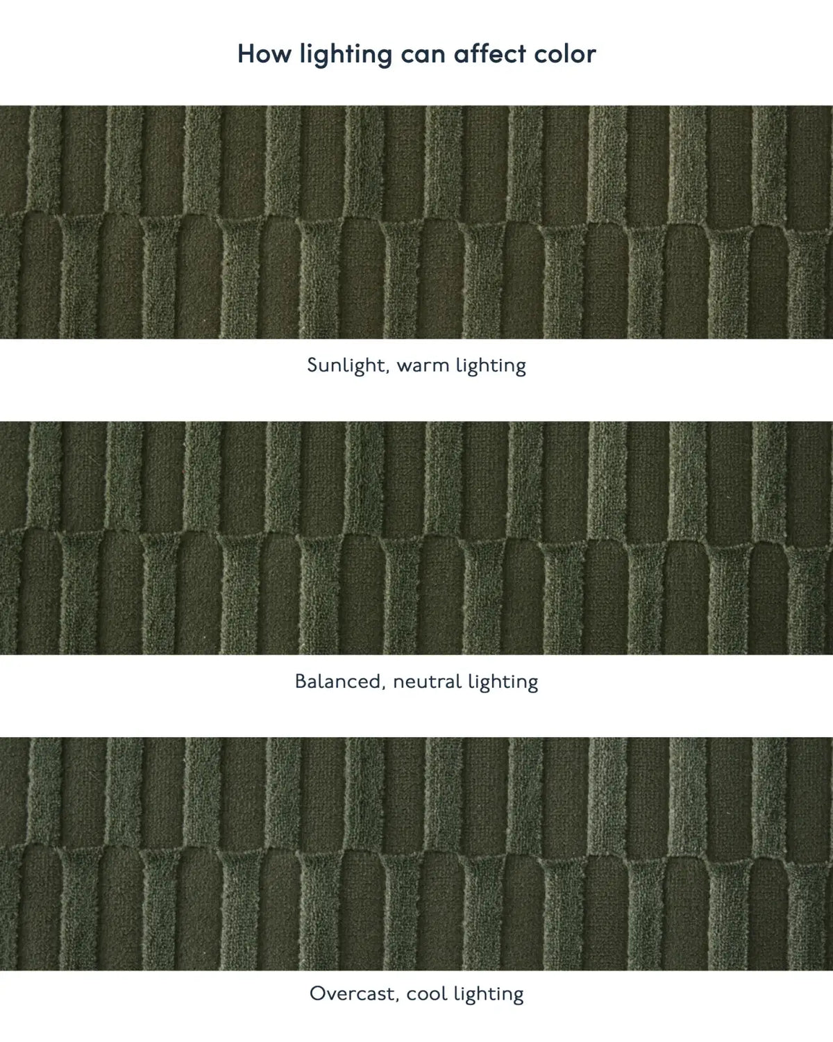 Machine-Washable Area Rug with Rounded Checkerboard Texture, Recycled Polyester, Medium Pile, Multiple Sizes