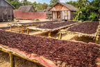 Madagascar Vanilla Beans, Whole Grade B Pods