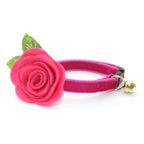 Magenta Pink Velvet Pet Collar