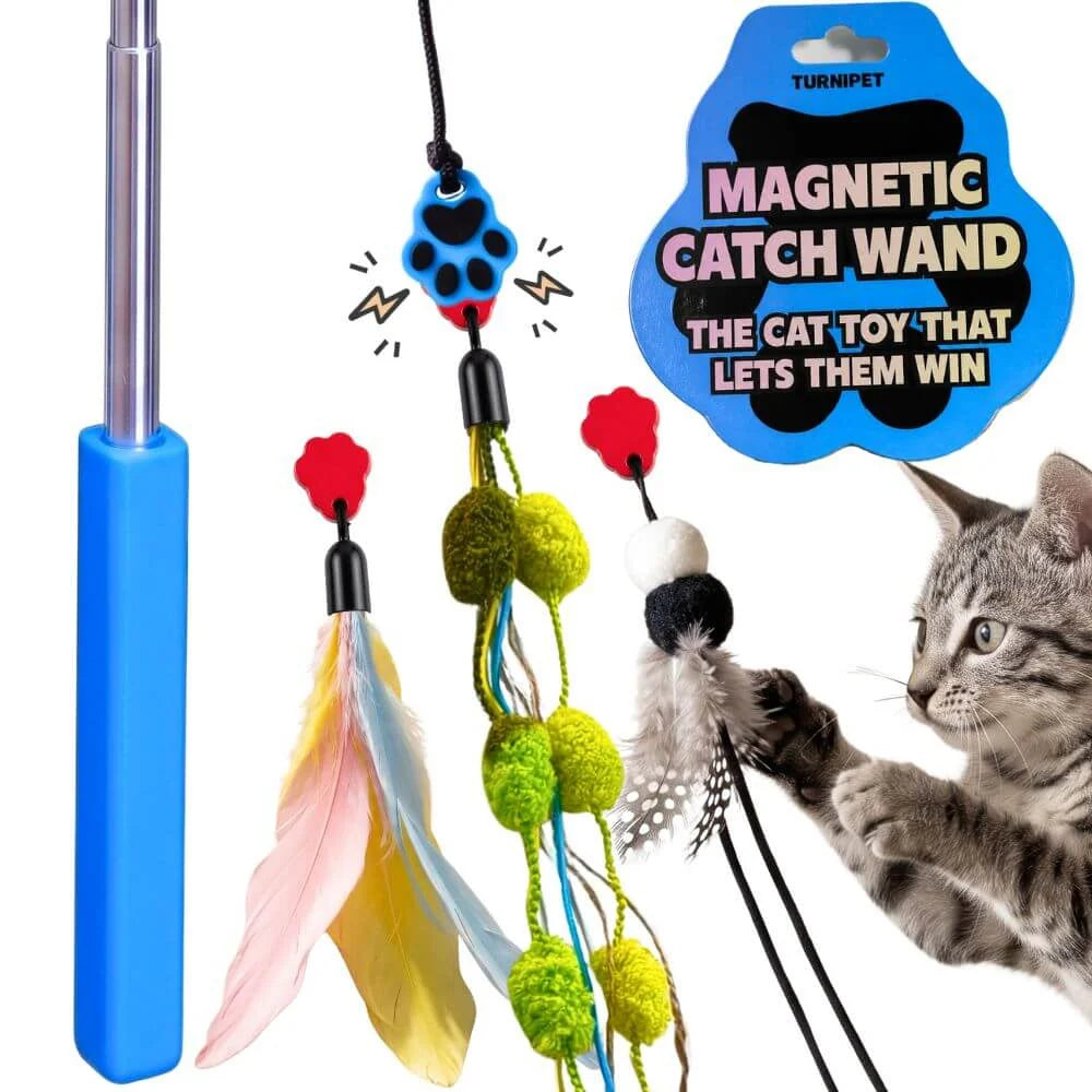 Magnetic Cat Wand for Pounce-and-Catch Play with Three Interchangeable Toy Attachments and a Storage Box — Compact