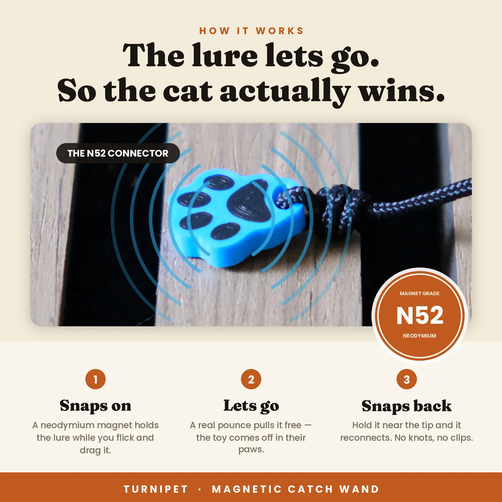 Magnetic Cat Wand for Pounce-and-Catch Play with Three Interchangeable Toy Attachments and a Storage Box