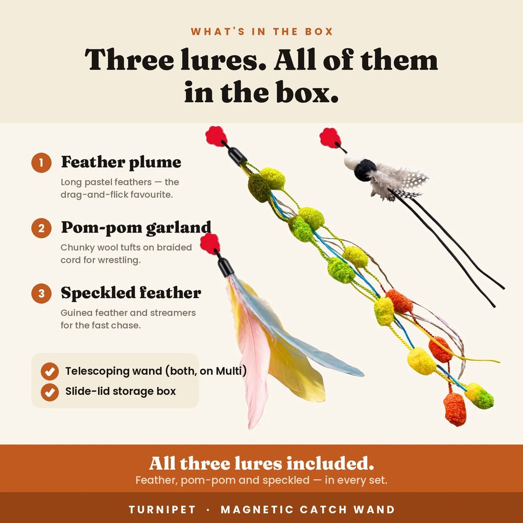 Magnetic Cat Wand for Pounce-and-Catch Play with Three Interchangeable Toy Attachments and a Storage Box