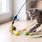 Magnetic Cat Wand for Pounce-and-Catch Play with Three Interchangeable Toy Attachments and a Storage Box