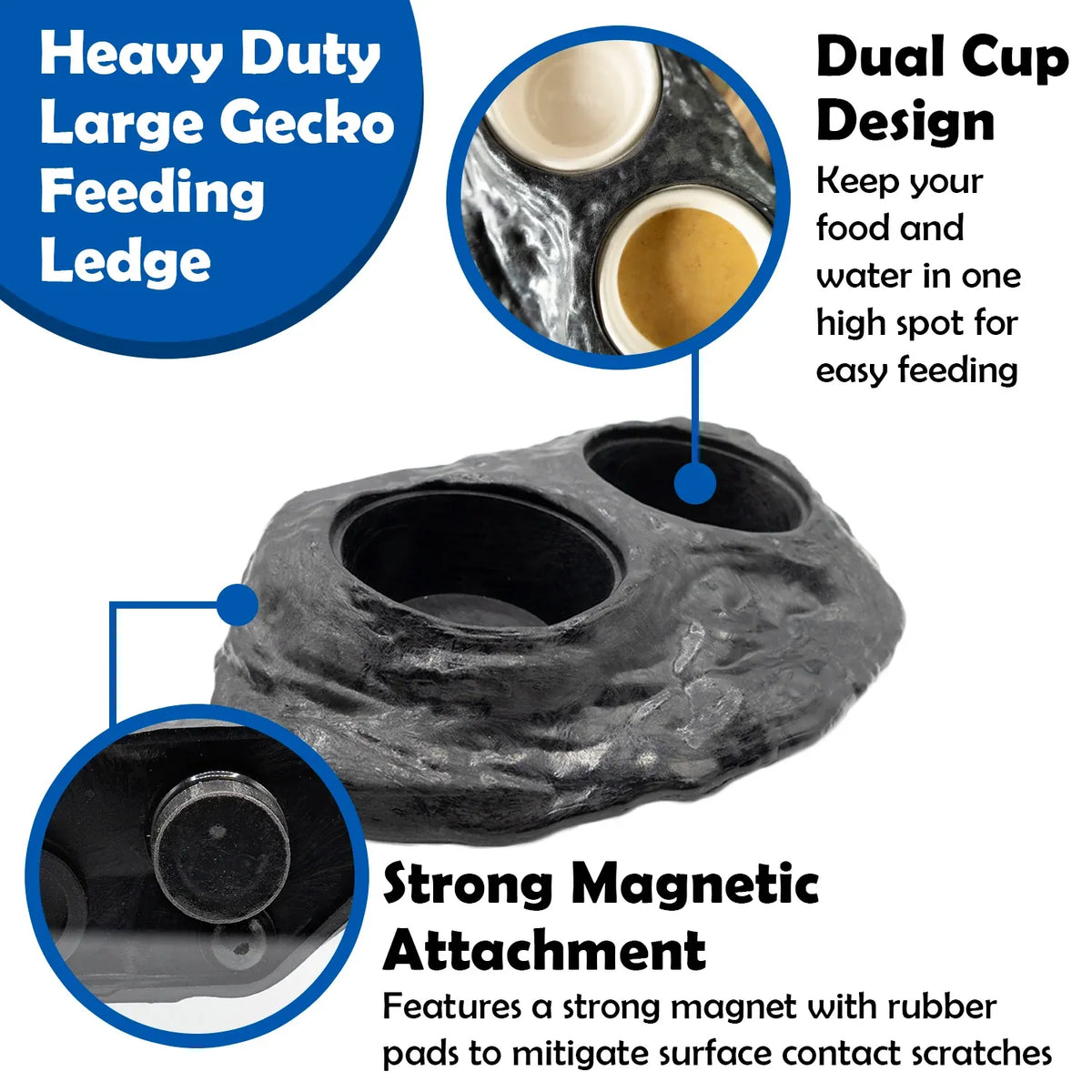 Magnetic Gecko Feeding Ledge in Mushroom Style for Elevated Feeding, Holding Two 1.5 oz Cups