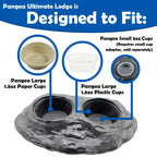 Magnetic Gecko Feeding Ledge in Mushroom Style for Elevated Feeding, Holding Two 1.5 oz Cups