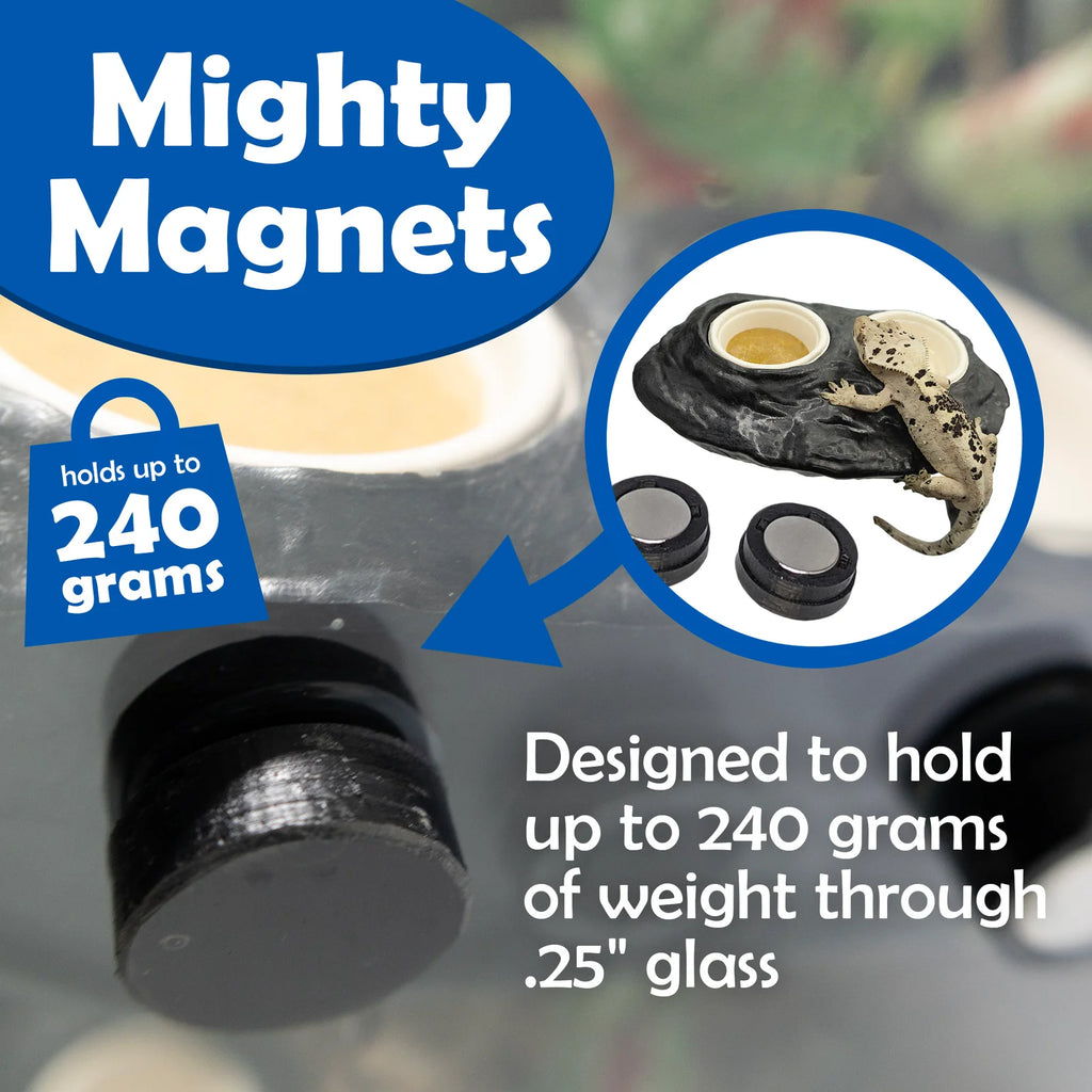 Magnetic Gecko Feeding Ledge in Mushroom Style for Elevated Feeding, Holding Two 1.5 oz Cups