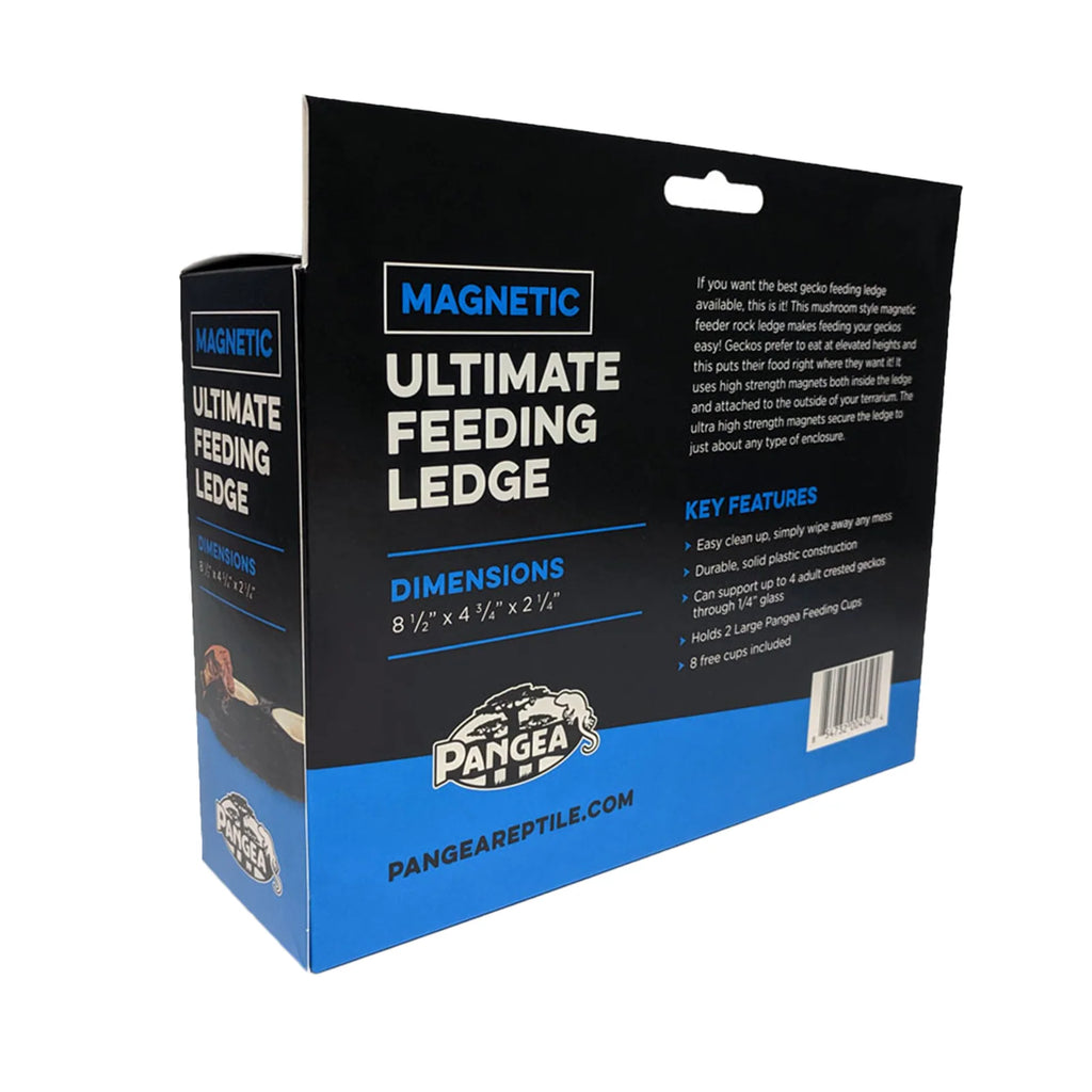 Magnetic Gecko Feeding Ledge in Mushroom Style for Elevated Feeding, Holding Two 1.5 oz Cups