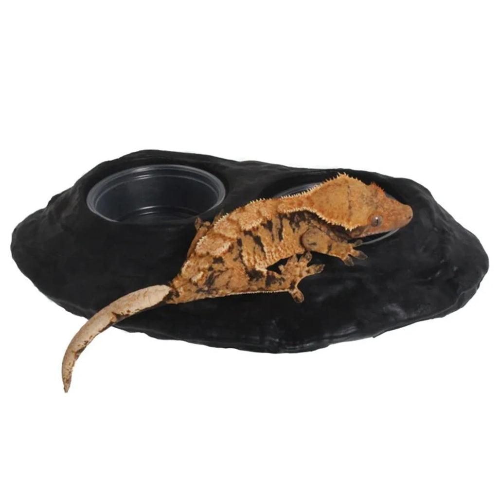 Magnetic Gecko Feeding Ledge in Mushroom Style for Elevated Feeding, Holding Two 1.5 oz Cups