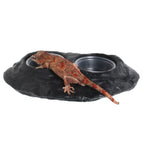 Magnetic Gecko Feeding Ledge in Mushroom Style for Elevated Feeding, Holding Two 1.5 oz Cups