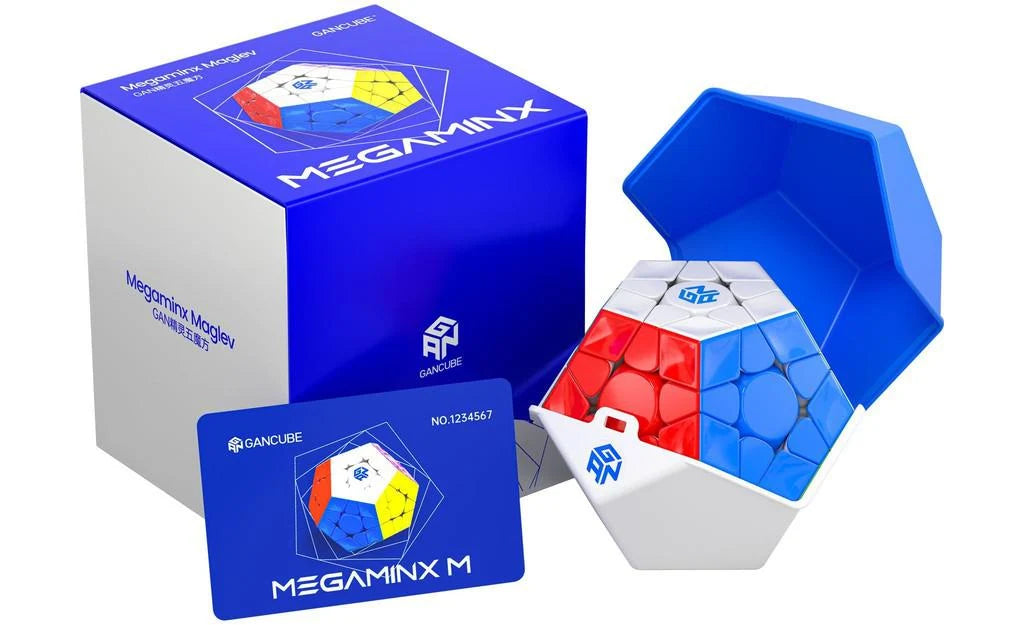Magnetic Megaminx Puzzle