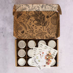 Magnetic Spice Jar Set with Hexagon Glass Containers, Small and Large Sizes, Optional Wall Plate for Kitchen Storage
