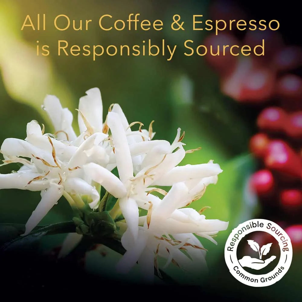 Medium Roast Coffee Capsules with Bright Acidity and Caramelized Sugar Notes for a Smooth Finish