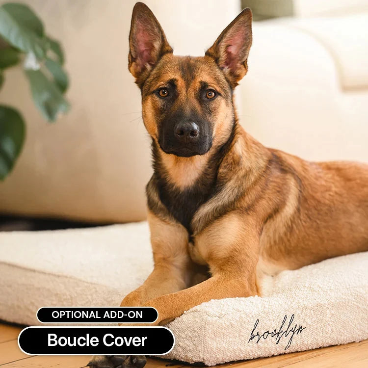 Memory Foam Dog Crate Bed