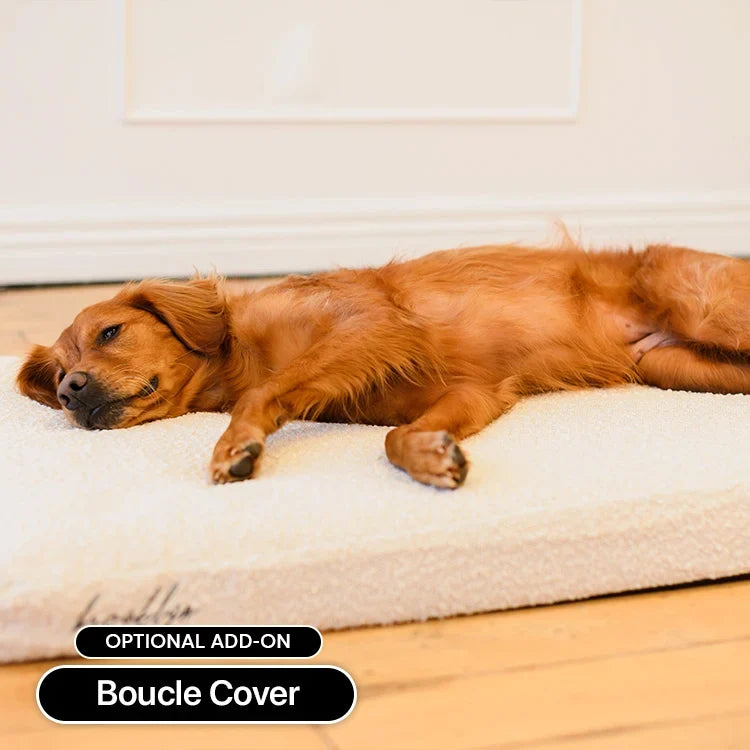 Memory Foam Dog Crate Bed