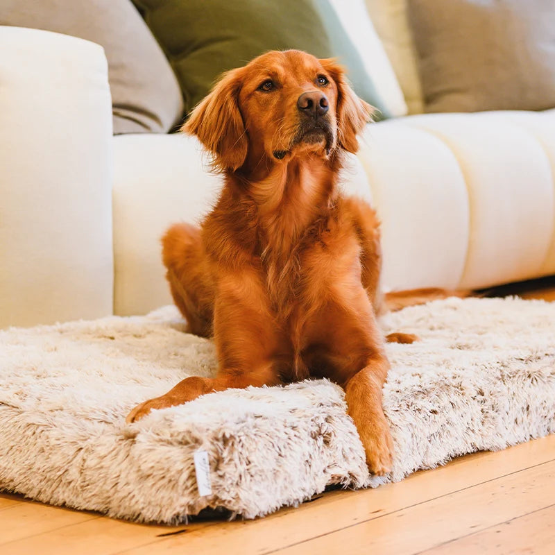 Memory Foam Dog Crate Bed