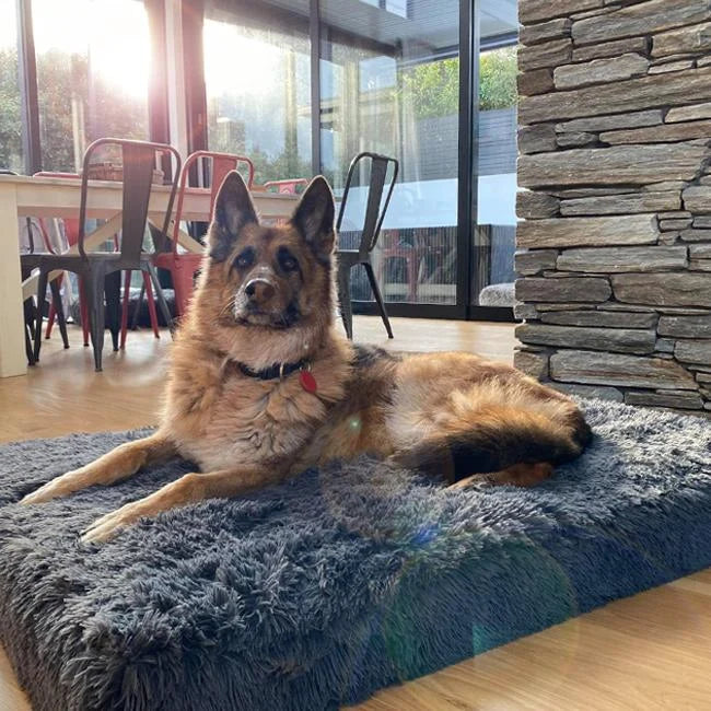 Memory Foam Dog Crate Bed