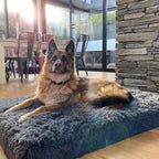 Memory Foam Dog Crate Bed