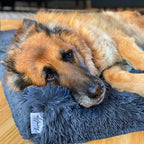Memory Foam Dog Crate Bed