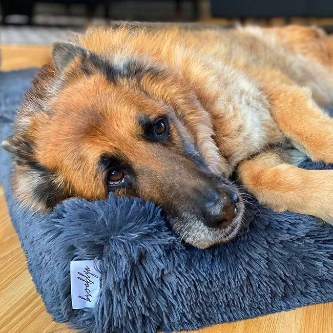 Memory Foam Dog Crate Bed