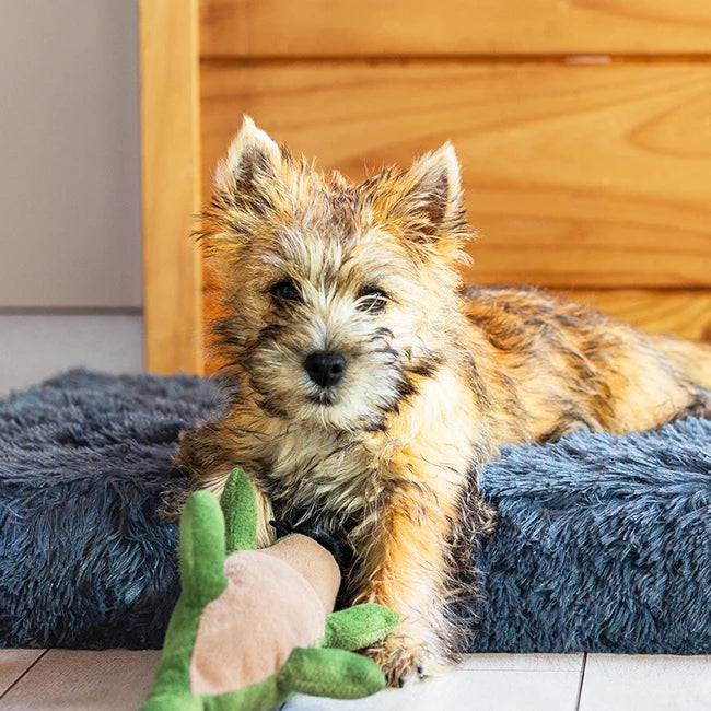 Memory Foam Dog Crate Bed