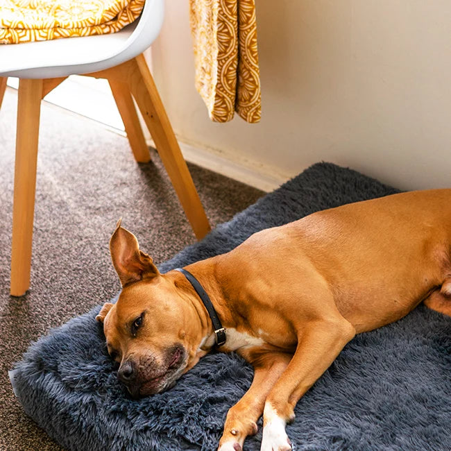 Memory Foam Dog Crate Bed