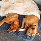 Memory Foam Dog Crate Bed