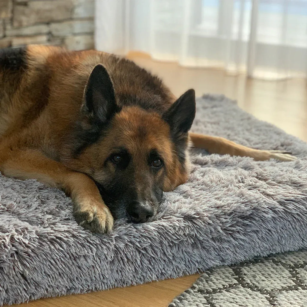 Memory Foam Dog Crate Bed