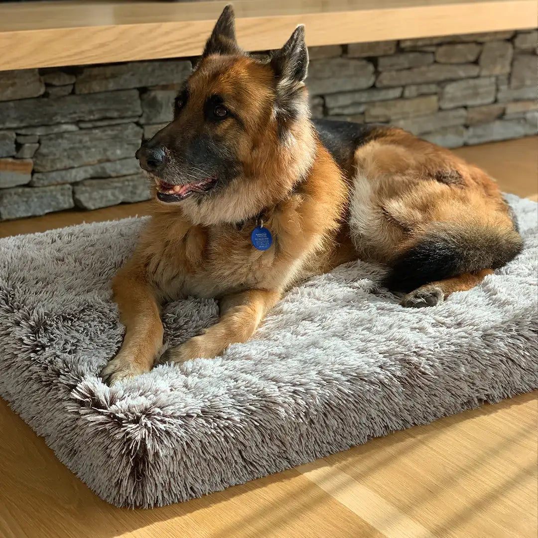 Memory Foam Dog Crate Bed