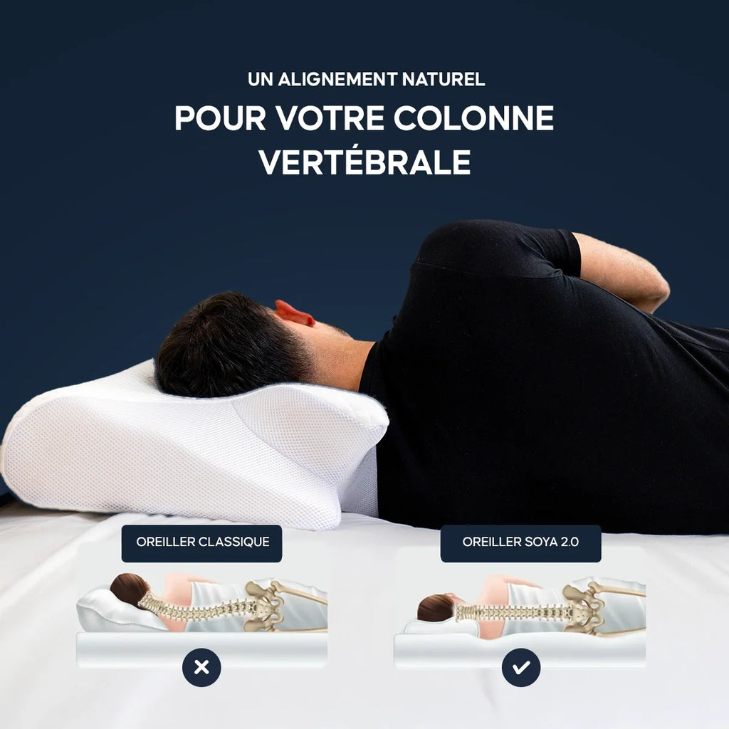 Memory Foam Pillow in a Butterfly Shape