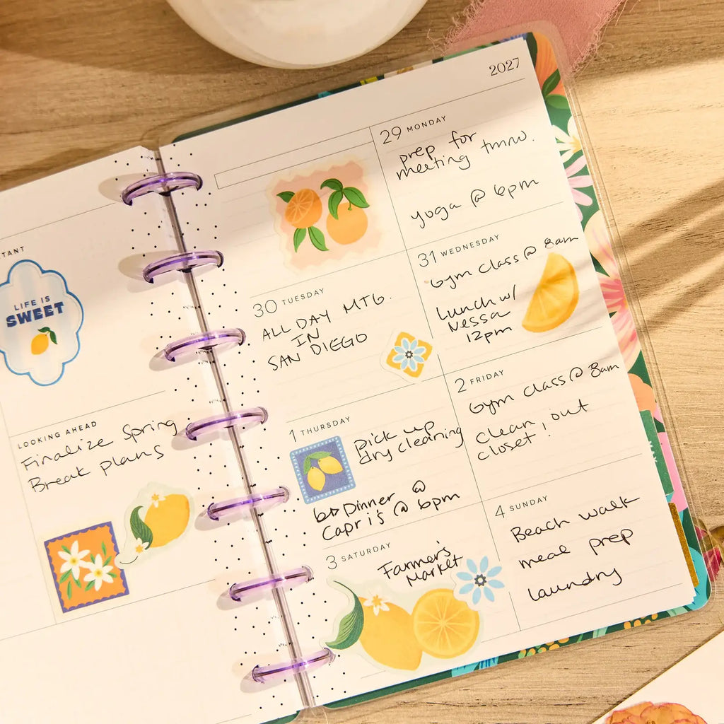 Mini Dashboard Planner for July 2026–June 2027 with a Lavender Daisy Cover and Customizable Disc Binding