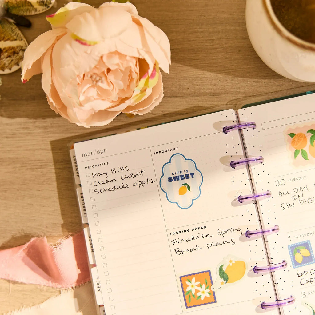Mini Dashboard Planner for July 2026–June 2027 with a Lavender Daisy Cover and Customizable Disc Binding