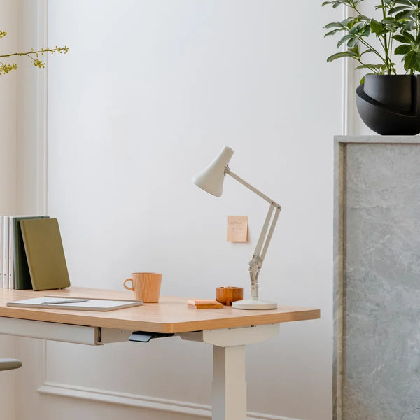 Mini Desk Lamp