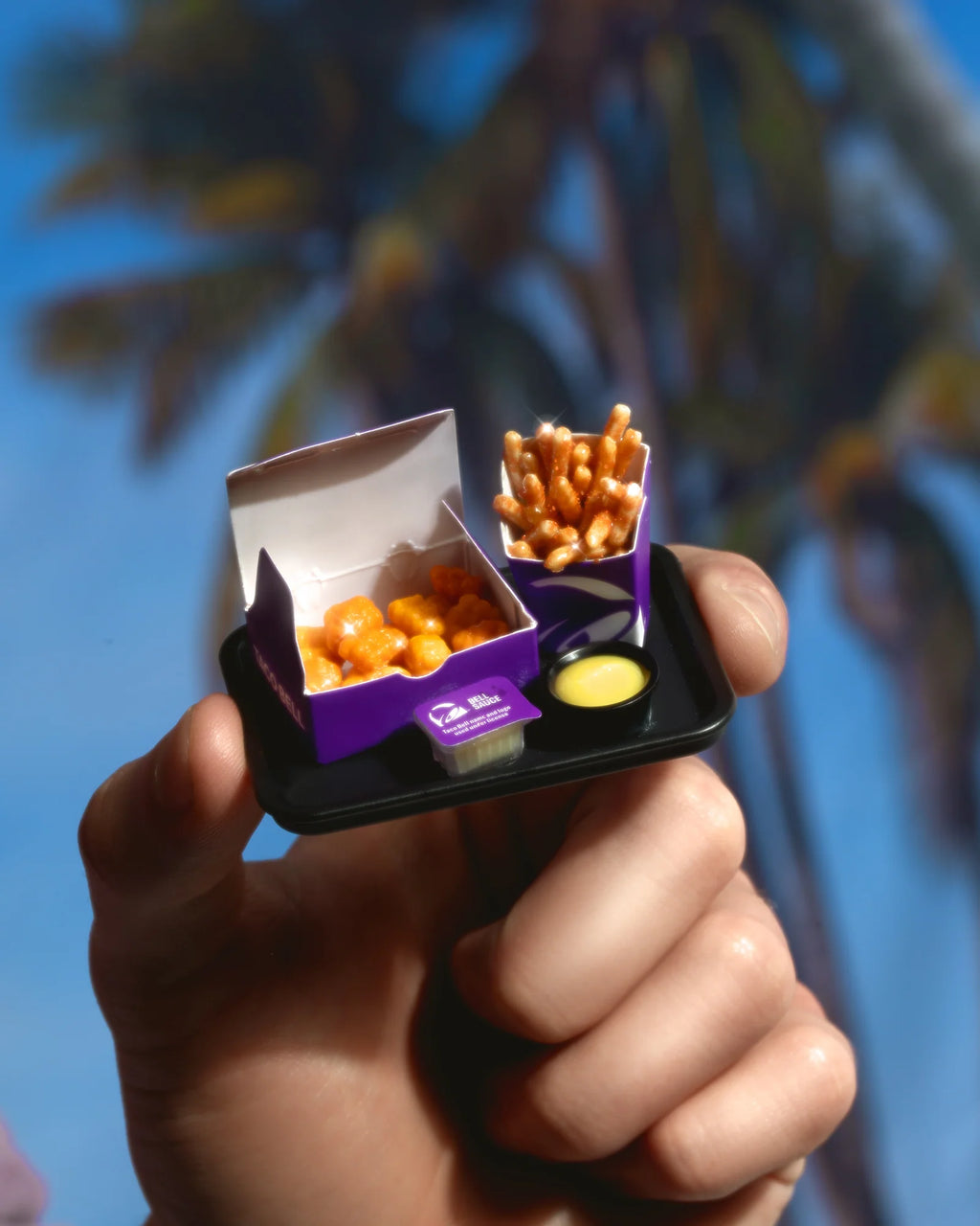 Mini Food Collectible Kit