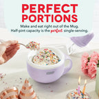 Mini Ice Cream Maker