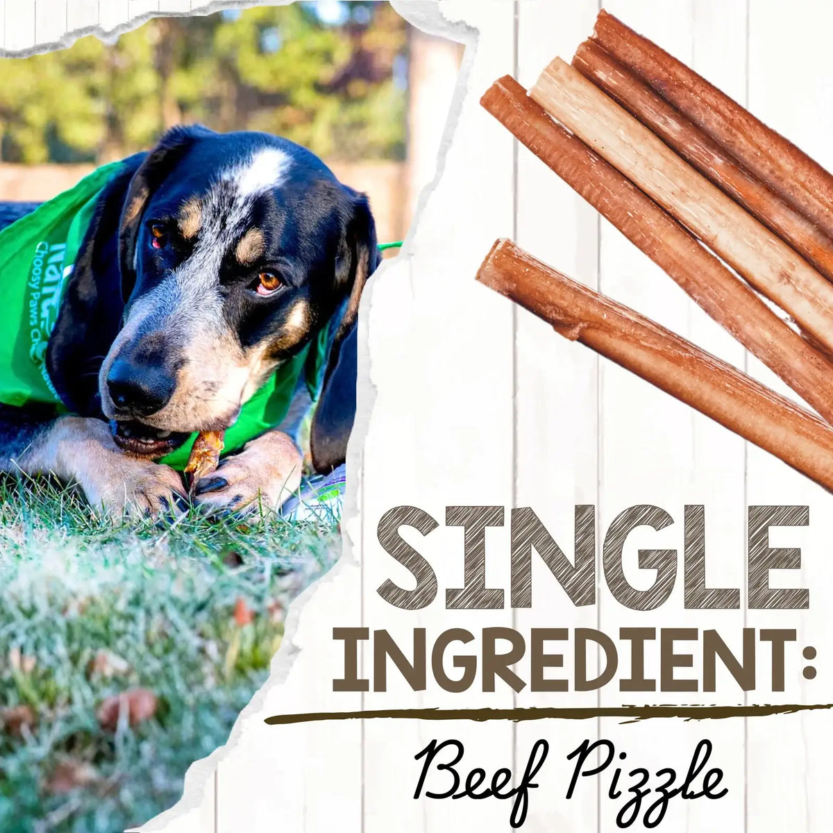Mixed Thickness Bully Sticks