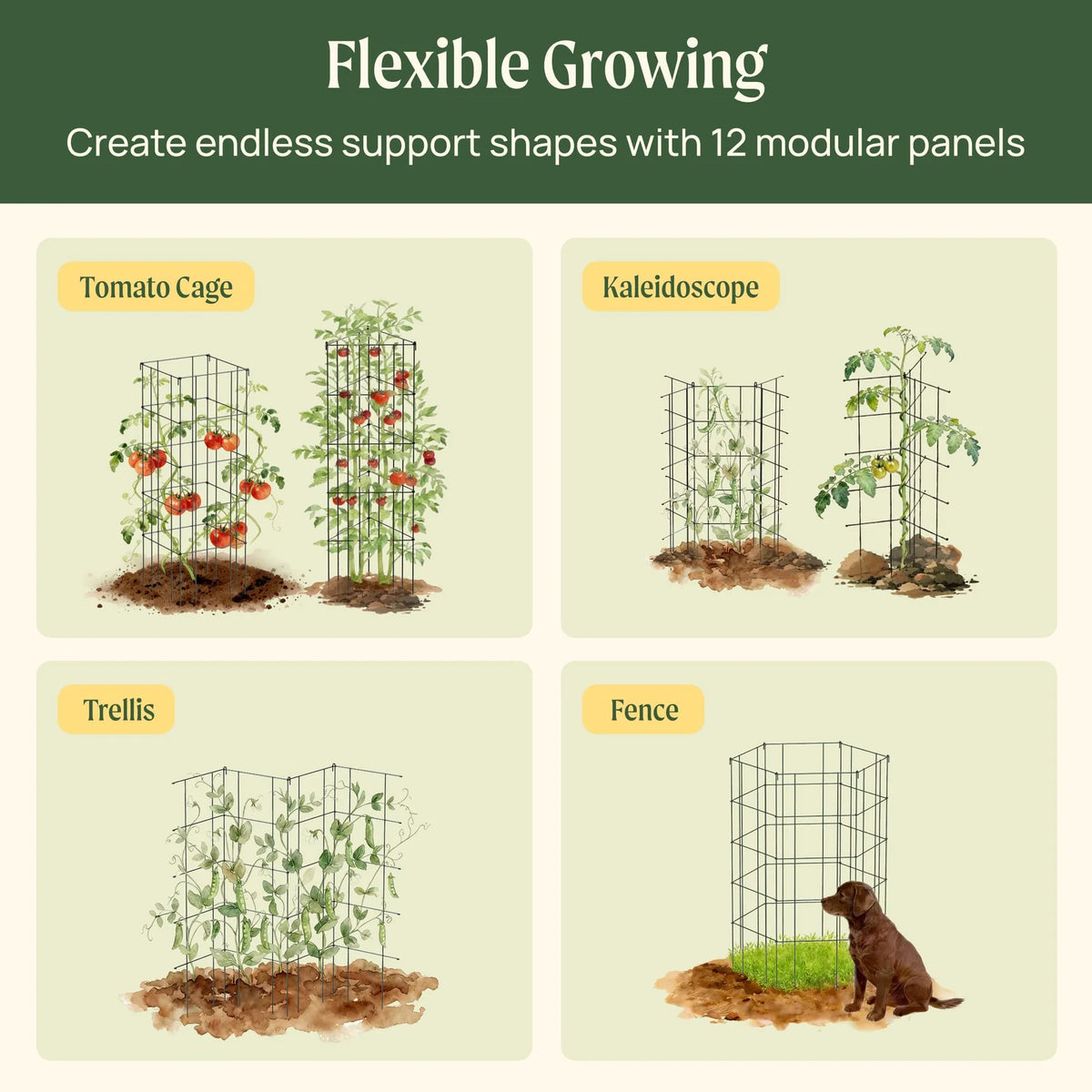 Modular Plant Trellis System with 12 Adjustable Panels, Flat-Folding Storage and Heavy-Harvest Support