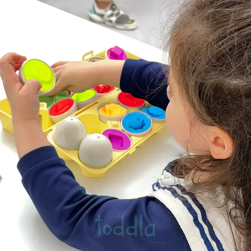 Montessori Geometric Eggs for Toddlers, Color and Shape Matching Learning Toy with Compact Storage Case