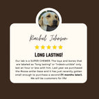 Moose Antler Base Dog Chew Cut from Dense Antler Bases