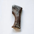 Moose Antler Base Dog Chew Cut from Dense Antler Bases