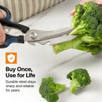 Multifunction Scissors with Curved Hardened Steel Blades and Comfort Grips for Kitchen and Household Tasks