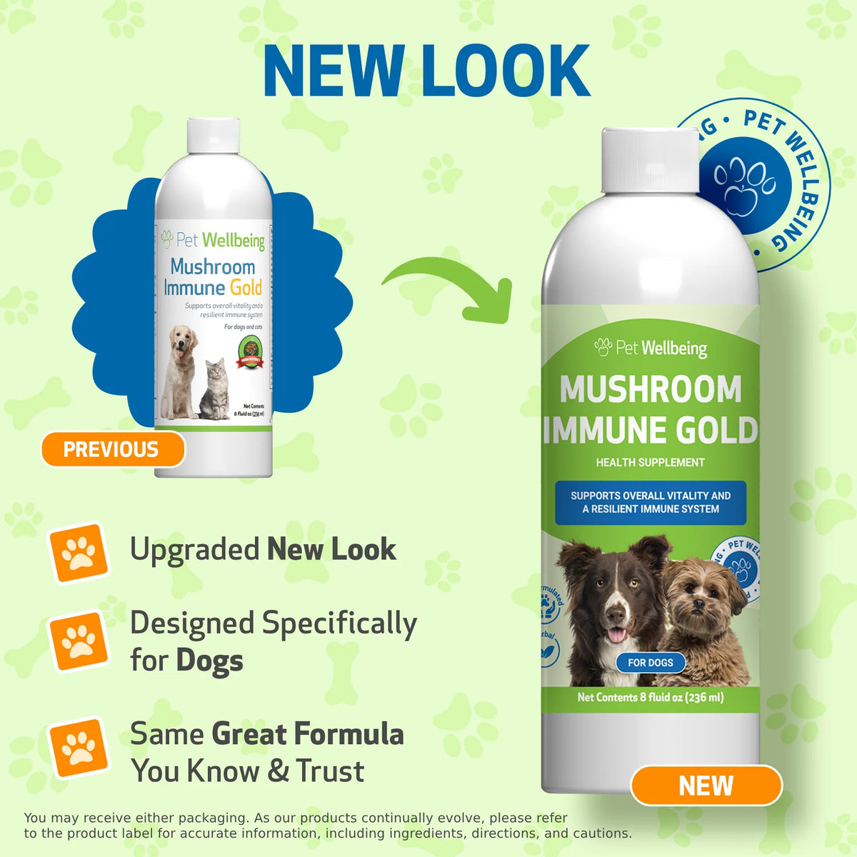 Mushroom Supplement