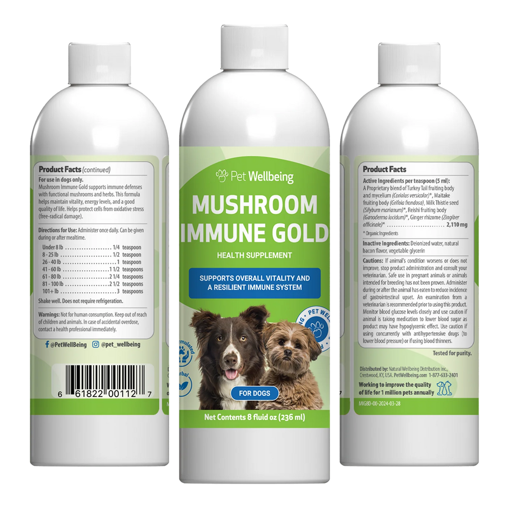 Mushroom Supplement